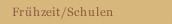 Frühzeit/Schulen  